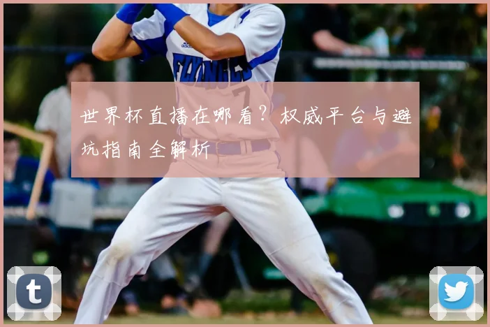 世界杯直播在哪看？权威平台与避坑指南全解析