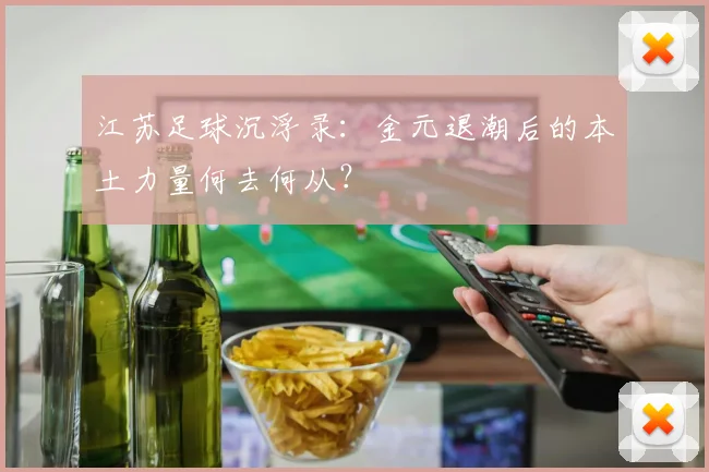 江苏足球沉浮录:金元退潮后的本土力量何去何从?