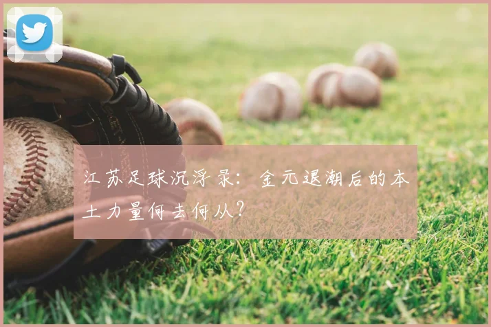 江苏足球沉浮录:金元退潮后的本土力量何去何从?