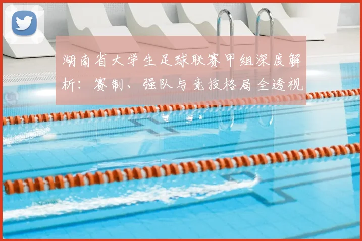 湖南省大学生足球联赛甲组深度解析：赛制、强队与竞技格局全透视